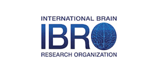 International Brain Research Organisation (IBRO)